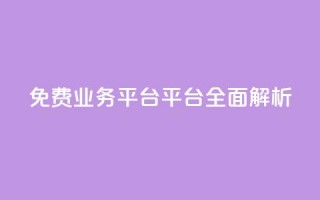 免费业务平台KS平台全面解析