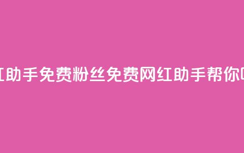 网红助手免费粉丝(免费网红助手帮你吸粉)  第1张