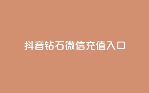 抖音钻石微信充值入口 - 抖音钻石微信充值方法详解专区。  第1张