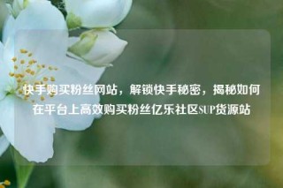 快手购买粉丝网站，解锁快手秘密，揭秘如何在平台上高效购买粉丝亿乐社区SUP货源站