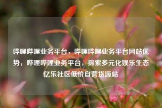 哔哩哔哩业务平台，哔哩哔哩业务平台网站优势，哔哩哔哩业务平台，探索多元化娱乐生态亿乐社区低价自营货源站