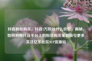 抖音粉丝购买，抖音2万粉丝什么价位，揭秘，如何利用抖音平台上的粉丝购买策略吸引更多关注亿乐社区SUP货源站