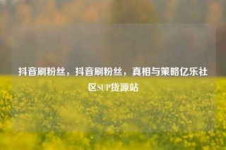 抖音刷粉丝，抖音刷粉丝，真相与策略亿乐社区SUP货源站