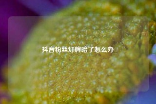 抖音粉丝灯牌暗了怎么办