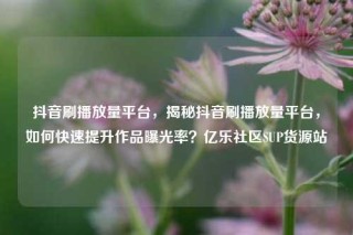 抖音刷播放量平台，揭秘抖音刷播放量平台，如何快速提升作品曝光率？亿乐社区SUP货源站