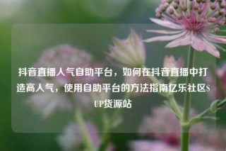 抖音直播人气自助平台，如何在抖音直播中打造高人气，使用自助平台的方法指南亿乐社区SUP货源站