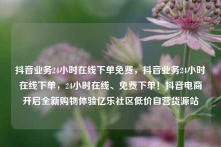 抖音业务24小时在线下单免费，抖音业务24小时在线下单，24小时在线、免费下单！抖音电商开启全新购物体验亿乐社区低价自营货源站