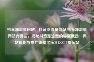 抖音涨流量网站，抖音涨流量网站,抖音涨流量网站有哪些，揭秘抖音涨流量的秘密武器—网站优化与推广策略亿乐社区SUP货源站